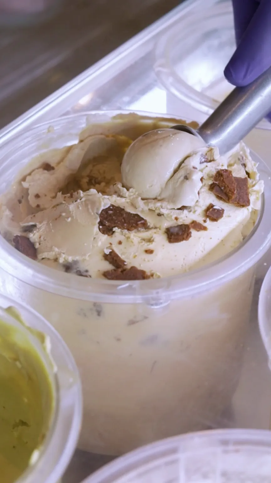 A gloved hand scooping Irish cold coffee gelato with chocolate chunks, the ball curling up in the scoop